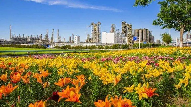 定制加工交期：无机化工原料加工的“时间表”**